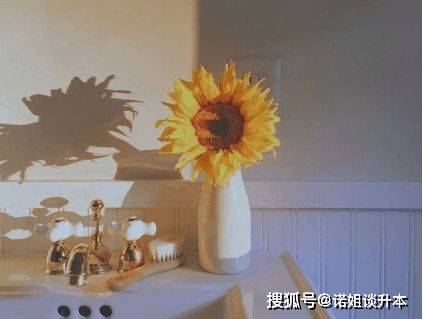 专升本英语单词背诵绝技让你如虎添翼 米乐玩游戏平台官网 米乐网投 网页版