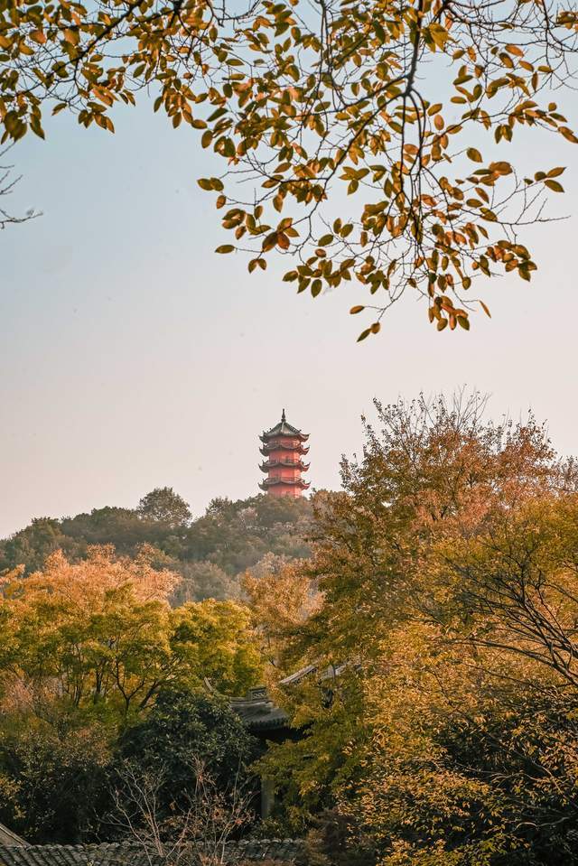 无锡的惠山古镇，有上百座园林化祠堂，人文历史背景十分浓厚