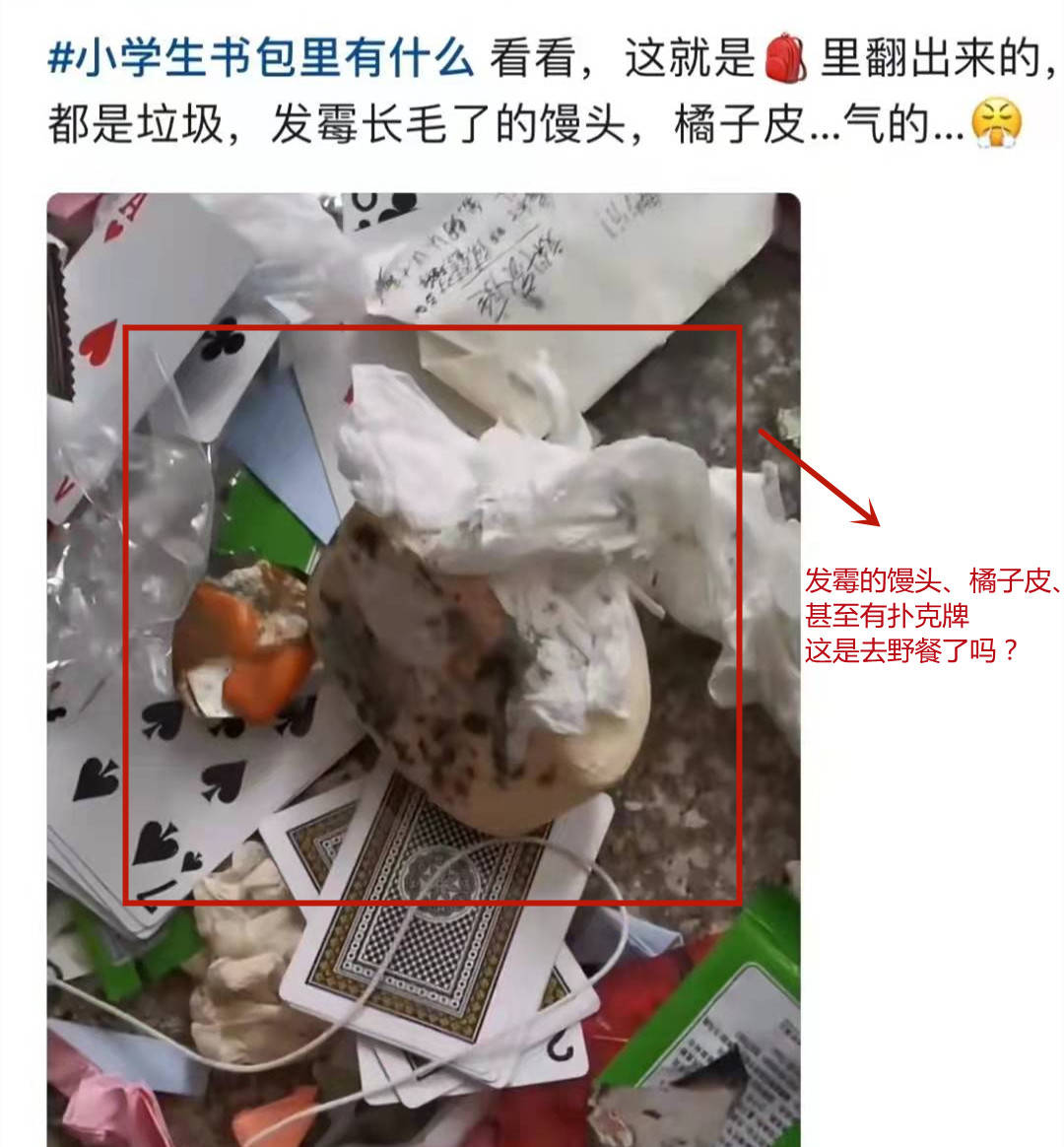 垃圾桶装书当代小学生书包堪称全国统一包里有啥烂水果剩菜
