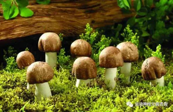 治疗|身上出现这些表现不要拖拉，快去医院做检查