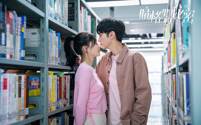 原创2021最高评分甜宠爱情剧top10一生一世第七司藤第三冠军75分