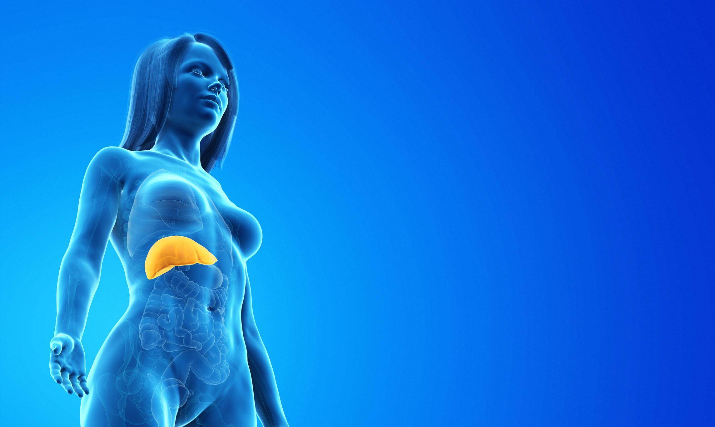 进行|肝功能检查前，这4件事别忘了做，否则白检查了