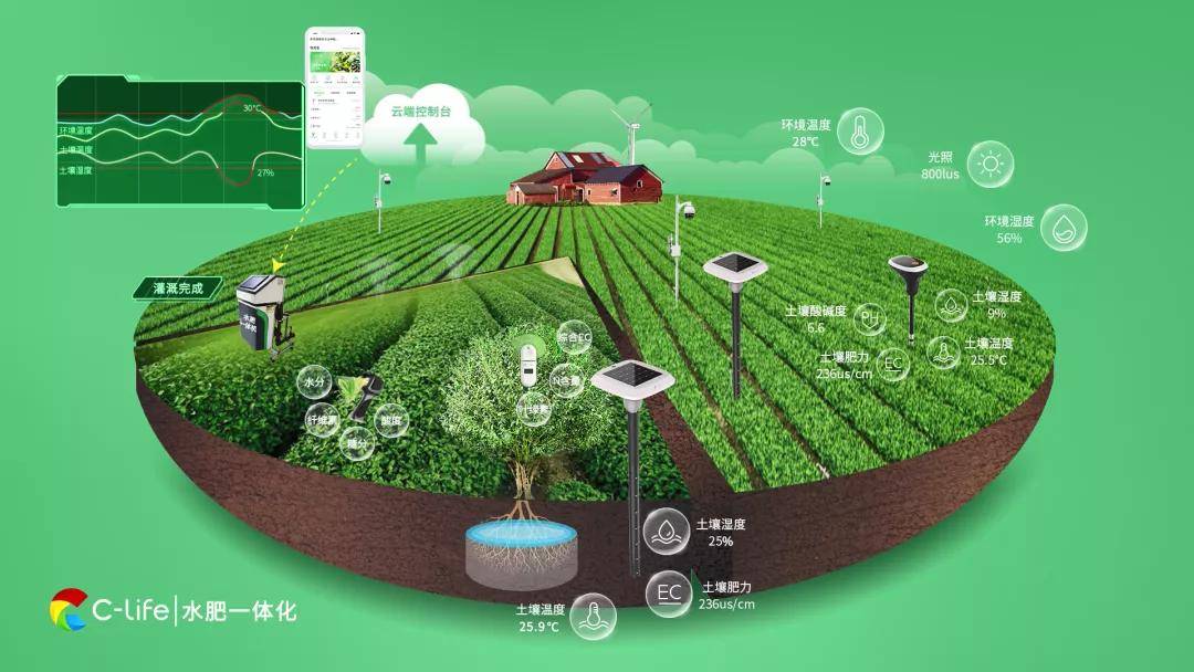 王偌飞丨5g小辣椒农村大智慧