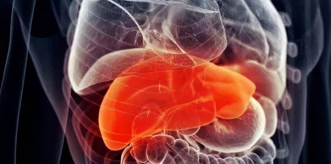 症状|肝豆状核变性伴发的精神障碍，会出现智力下降，以及脾肝肿大