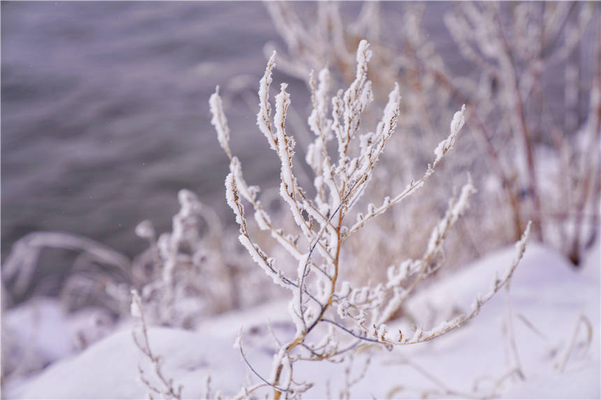 阿什|雾凇仙境，滑雪天堂，解锁吉林市的N种玩法，让这个冬天与众不同