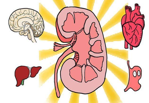 肾脏|尿毒症是拖出来的？医生提醒：如有2处发臭，晚上尽量坚持3不要