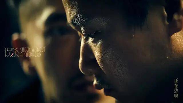 心脏|《误杀2》看哭观众,肖央演技再封神,评分却仅6.0?