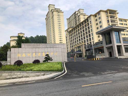 州慈爱园和她的168个娃