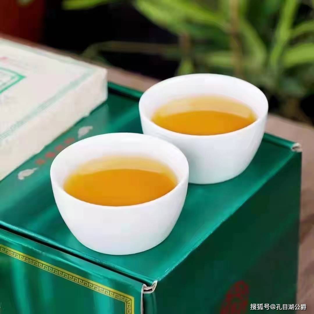 依楠|依楠梦视野——品茶尝的是心境