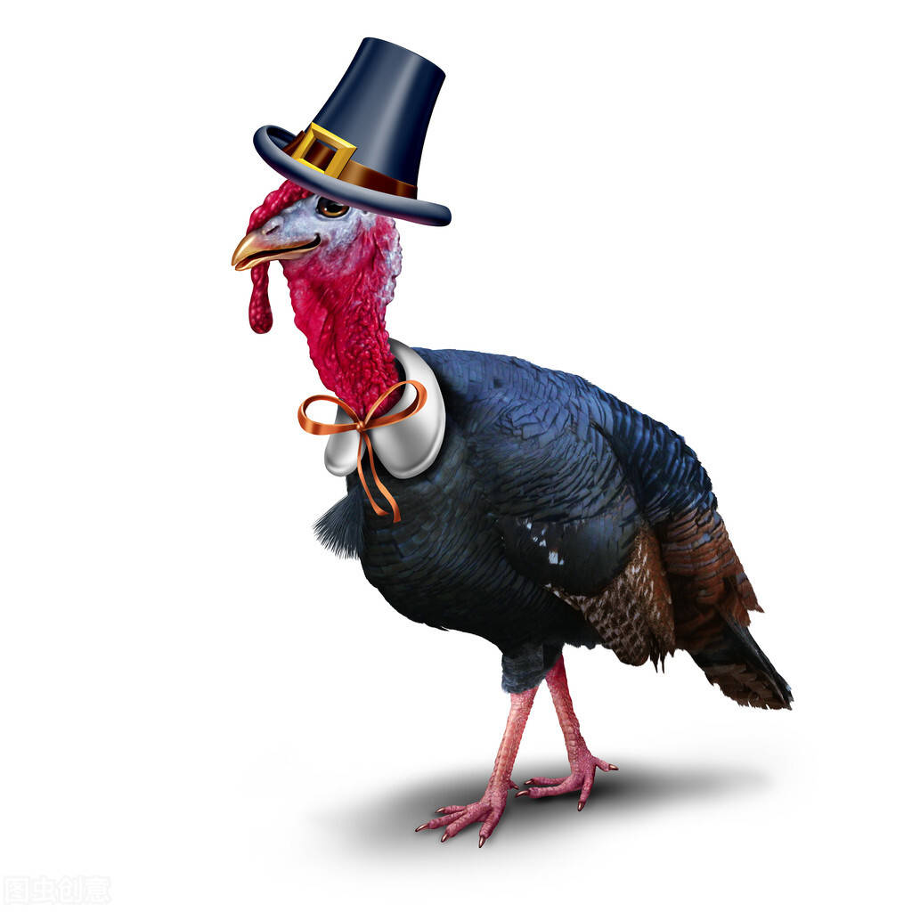 难以想象猪头肉和孔雀肉的味道是怎么样了,欧洲人习惯了食物添加各种