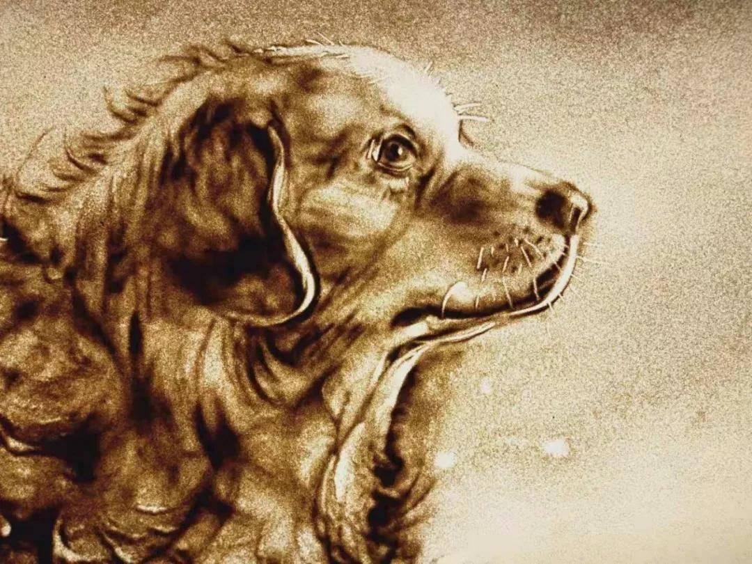 2022跨年图鉴沙画艺术家肖璐的成长史