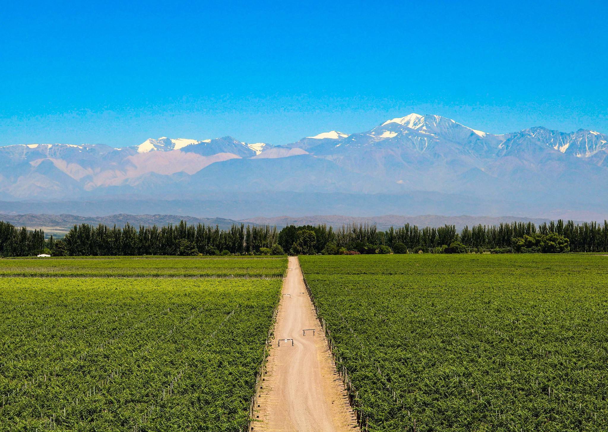 足球|最敢“叫板”美国的南美国家，足球和这个东西，让美国人没了脾气