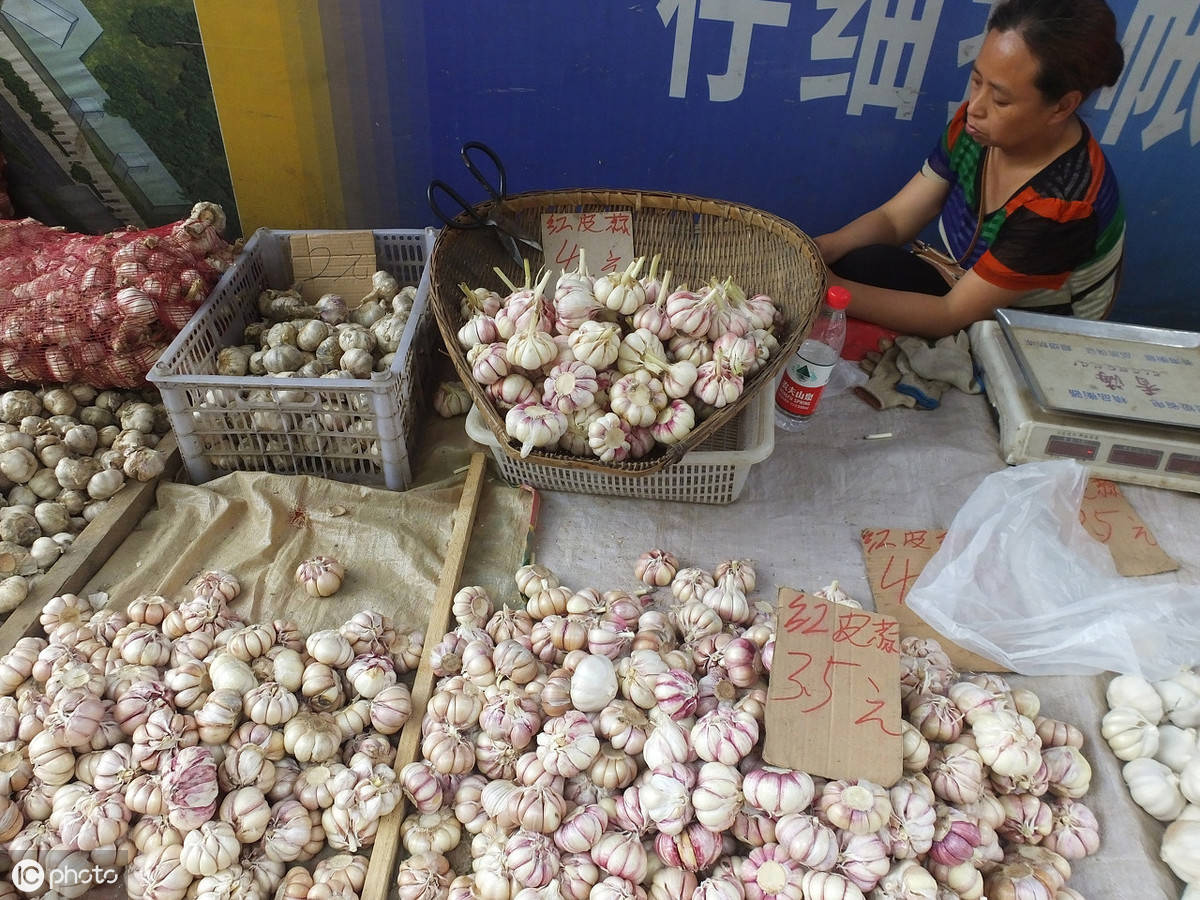 北方什么时候种蒜最合适 b3ff1ef6e2744a28833a2d2d2b707915.jpeg