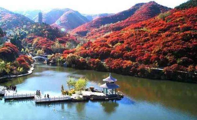 南京这个“赏枫地”，可媲美北京香山，门票40元是当地“网红地”