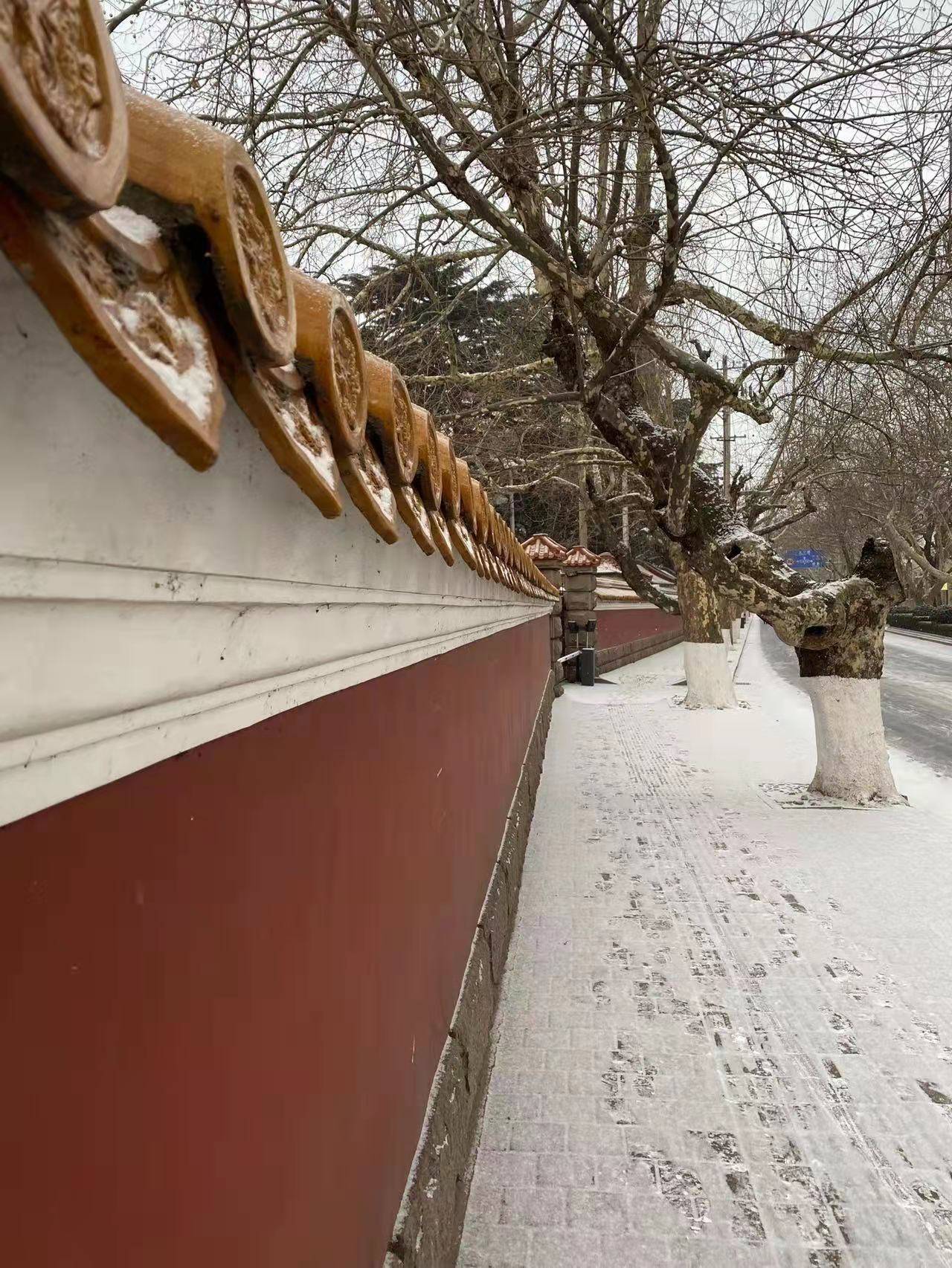 雪景|雪后青岛：雪中景、雪中忙、雪中情、雪中乐……集全了