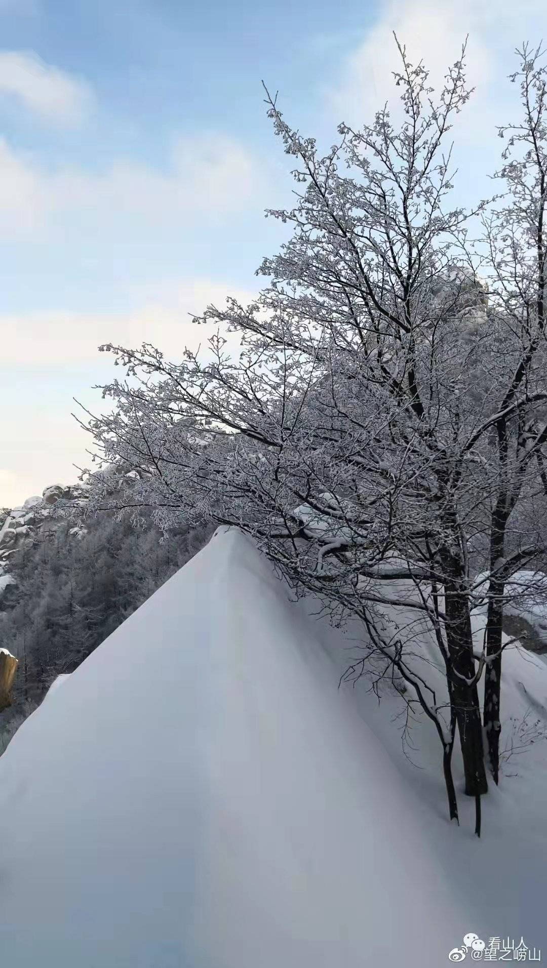 黄岛|撒盐空中差可拟｜2021青岛初雪，快来欣赏各区雪景～