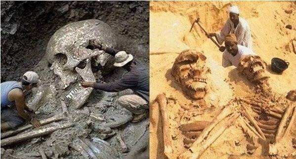 中国曾发现65米巨人骸骨
