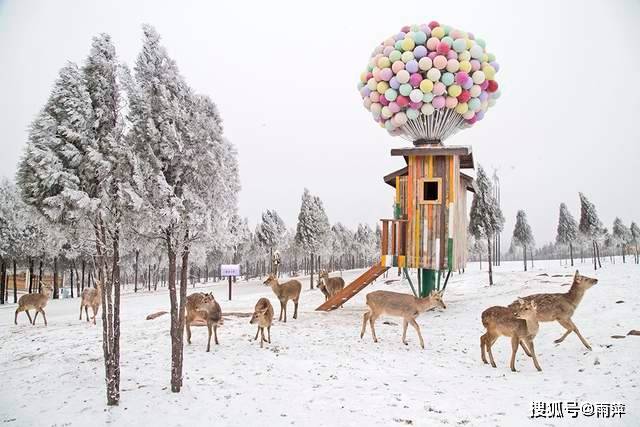 伏羲山|踏歌而行，遇见雪中的伏羲山冰雪与森林小鹿