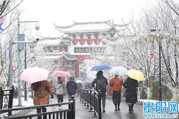 中雪|【图集】贵阳观山湖公园银装素裹惹人醉