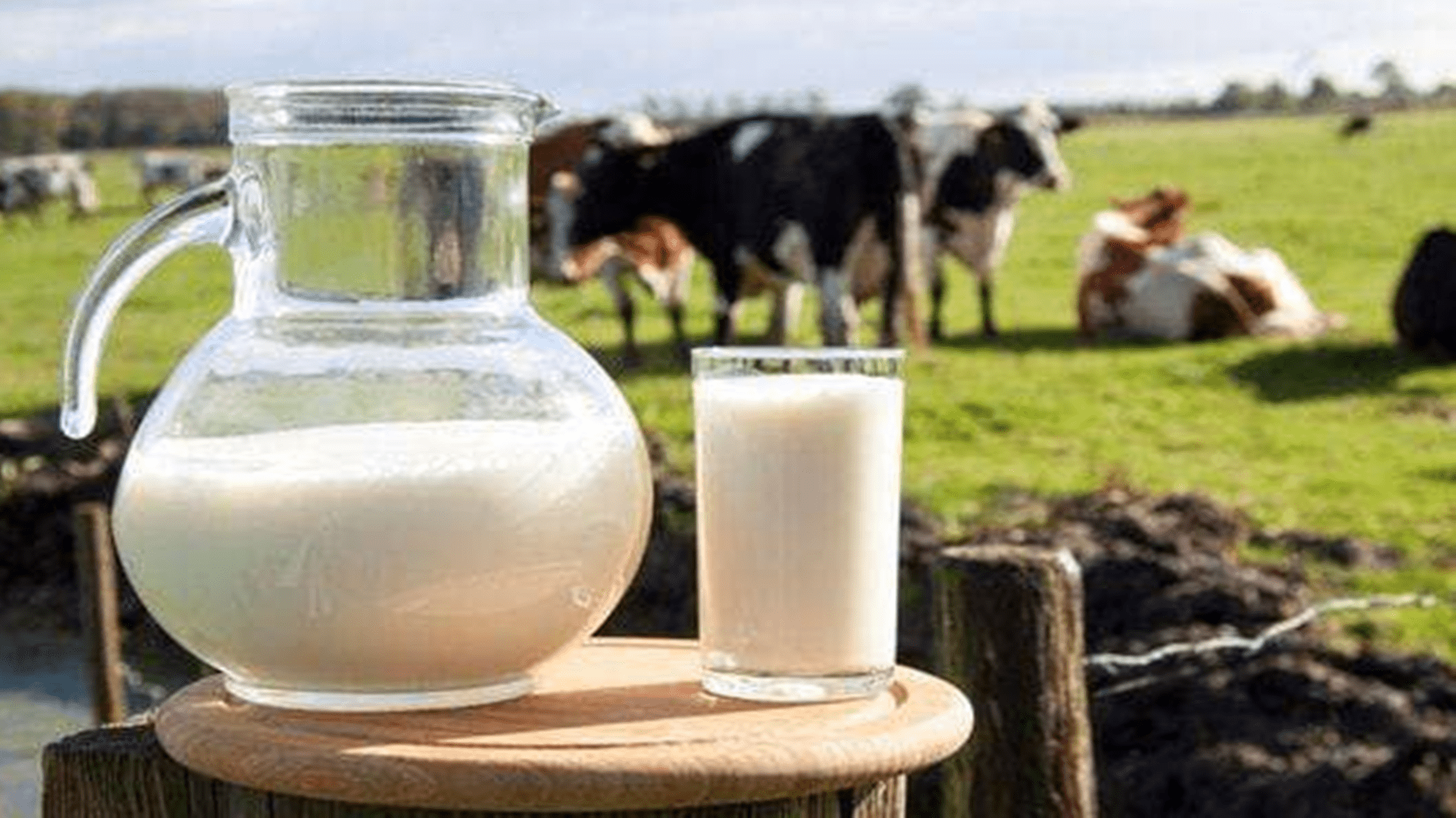 睡眠|睡前喝牛奶，等于服用毒药？实际情况是这样......