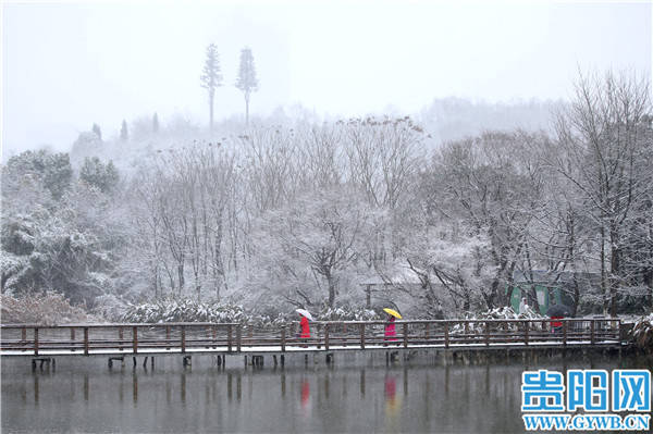 中雪|【图集】贵阳观山湖公园银装素裹惹人醉