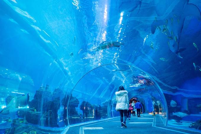  原创 成都浩海立方海洋馆，有全球最大的海洋观景窗，布满浪漫和梦幻