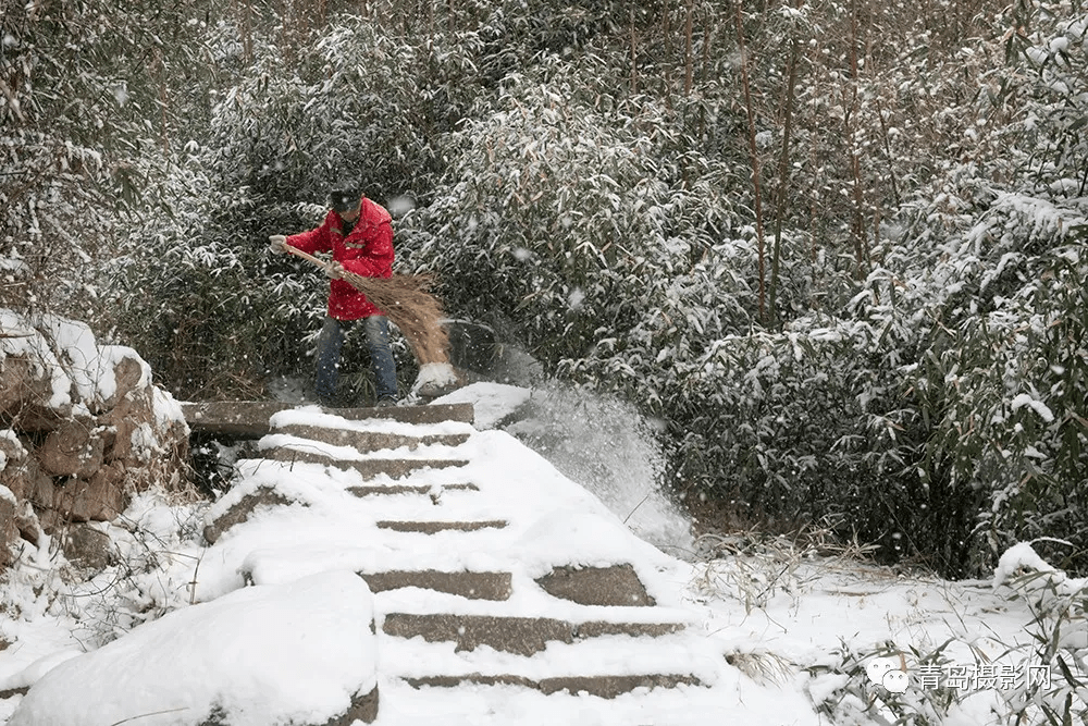 柳絮|一月一题 | 雪，让这个世界变得温柔而浪漫