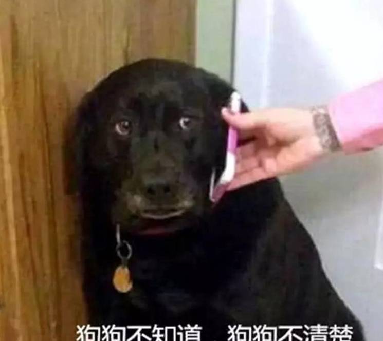 87e0dedbe6e44a2ba8f18b83961fe7f6.jpeg