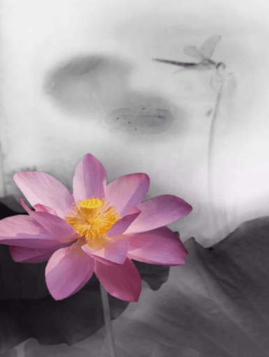 怎么让自己变得更有运气 9e92885781b54c4784a84bd833ca049b.png