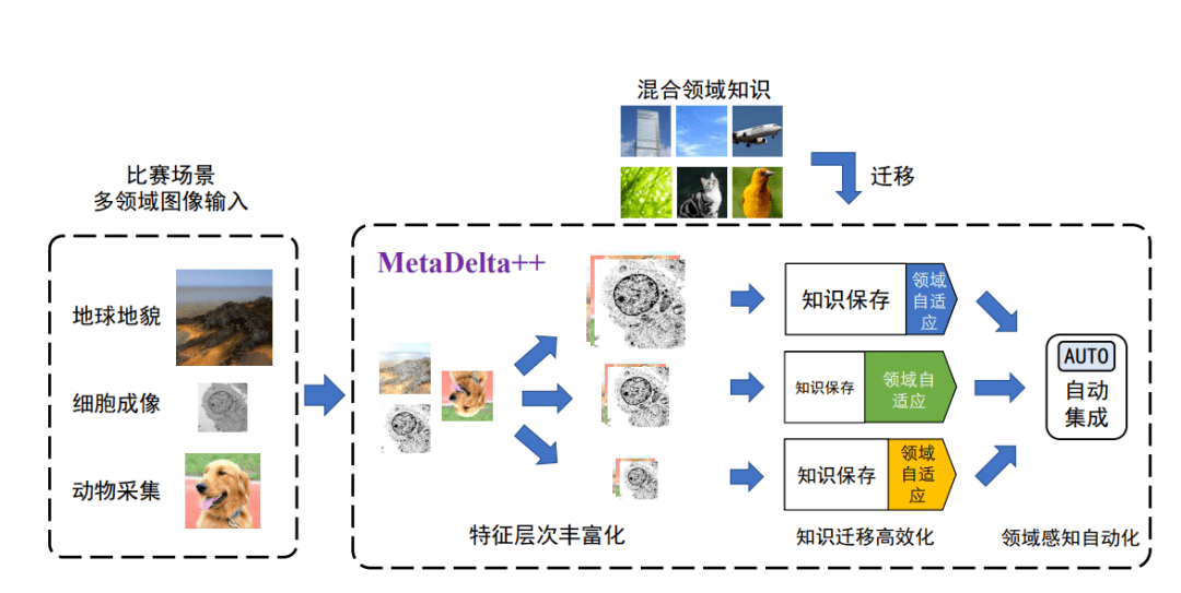 国际|特奖得主任队长，清华夺冠NeurIPS 2021国际深度元学习挑战赛