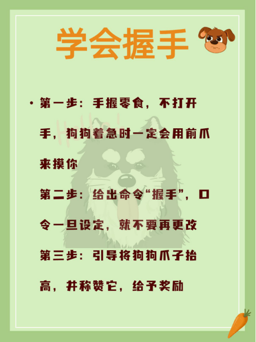 厕所如何科学训狗——定点厕所、握手、关门