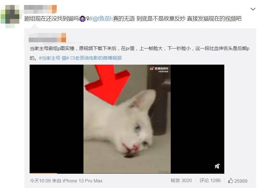 蒋勤勤|《当家主母》被曝虐猫，为拍戏把猫伤害致死！剧组公开真实情况！