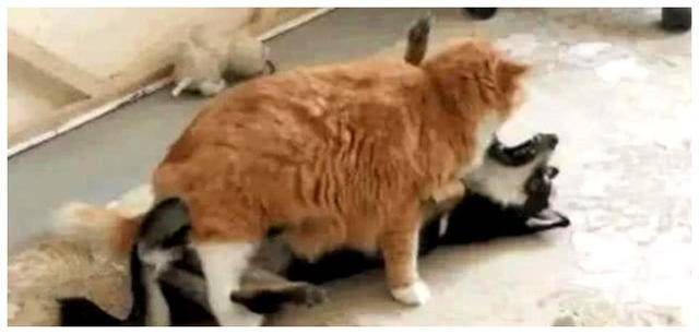 928e94ccd79f42dbadcbeef0458a19bb.jpeg