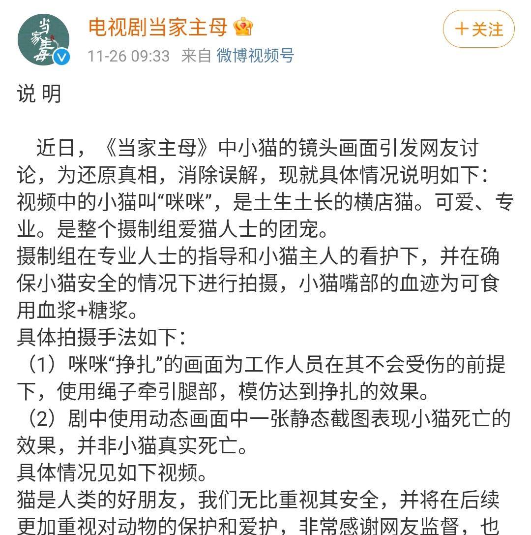 白猫|《当家主母》疑毒杀猫，官方解释太苍白，网友：这不是第一次了