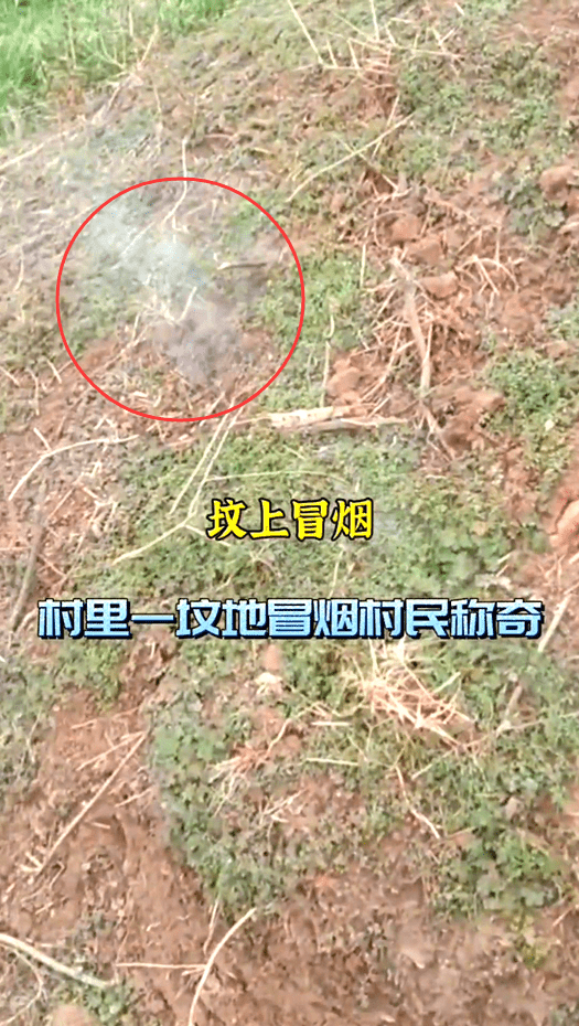 原创祖坟真的冒青烟了河南男子拍手叫好这烟冒的劲真大