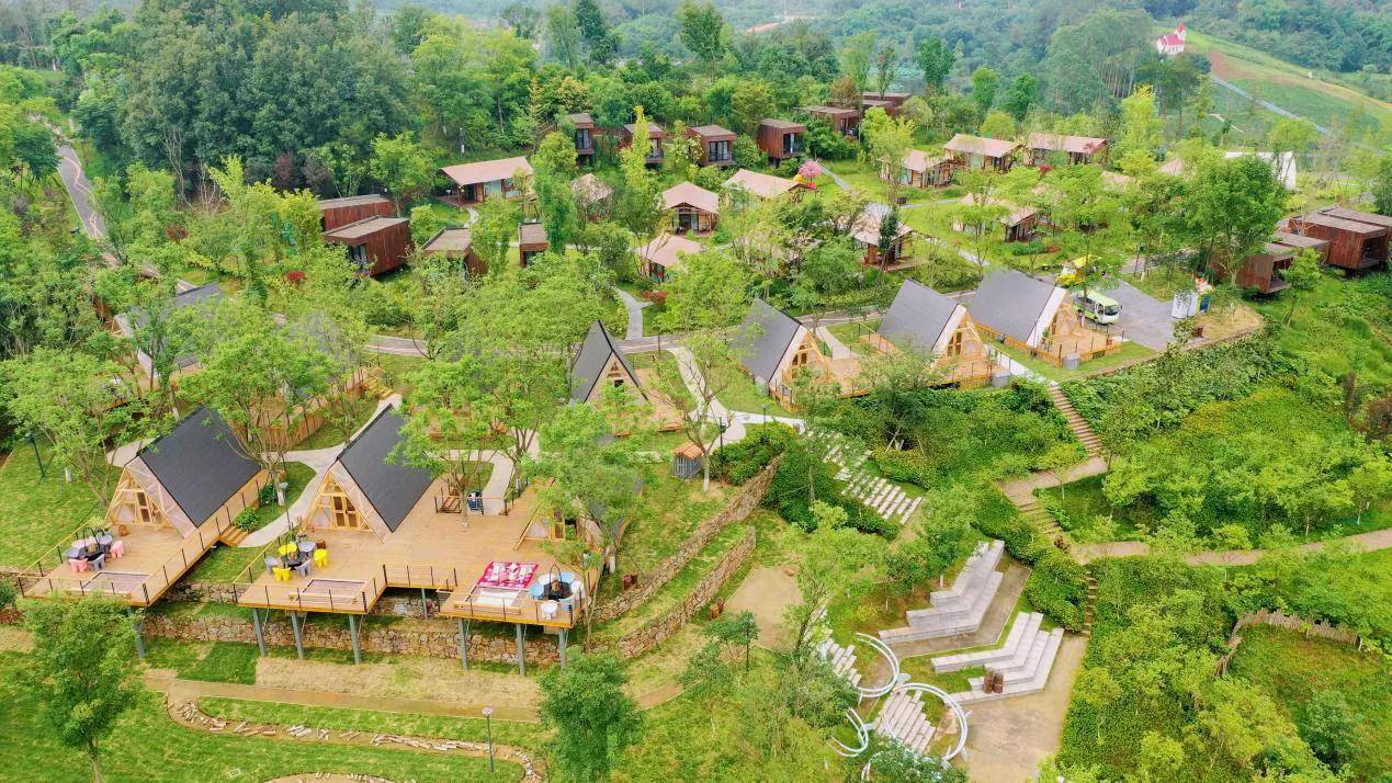 撸萌宠看演艺赏篝火观灯海华侨城欢乐田园陪你别样迎新年