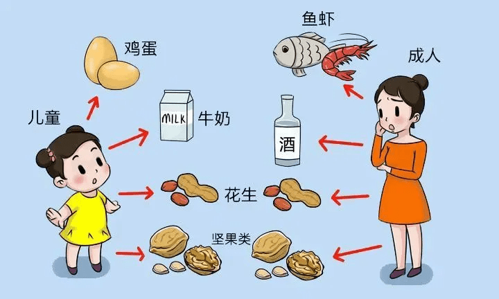 自己会过敏的食品最好不要吃,常见的致敏类的食物有海鲜,花生,羊肉