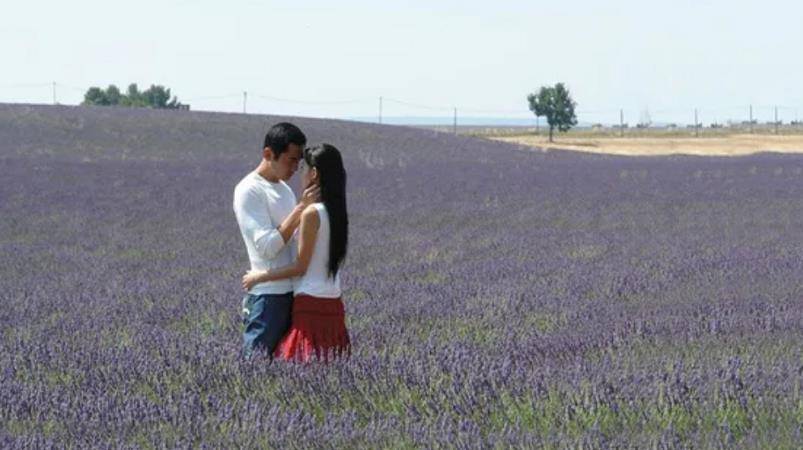 角色|大叔萝莉恋系列,陈建斌辣眼,张嘉译迷人,方中信才是正确示范