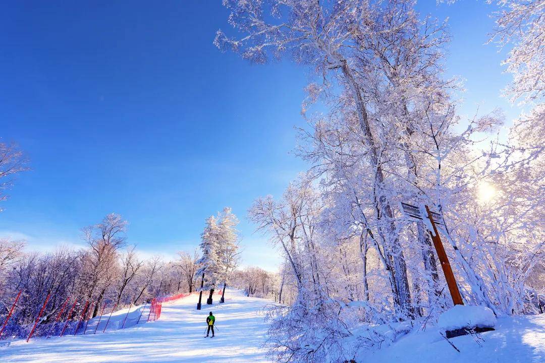 滑雪|两地上榜，晋升国家级滑雪旅游度假地