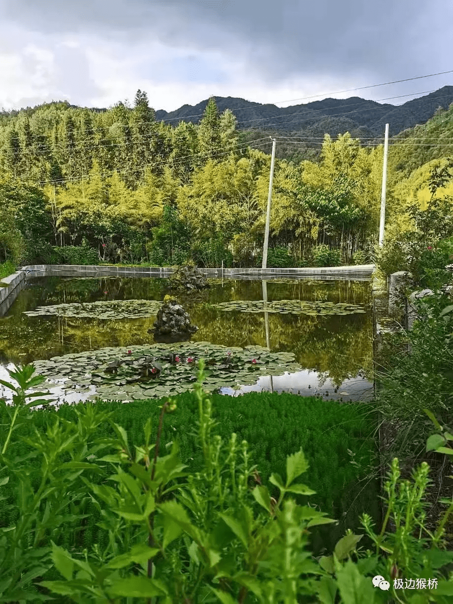 历史|腾冲箐口沙河：诗与远方的灵魂归属地