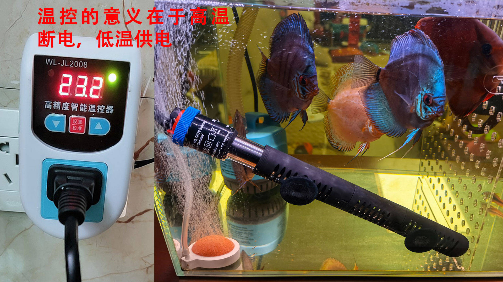 0f0145e047ed4b35968a09489d9945cb.jpeg
