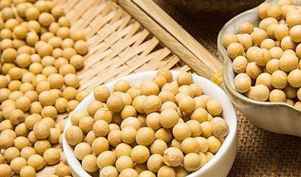 黄豆对卵巢有帮助吗 4f08b90474474f63a179f6caed5ae99a.jpeg