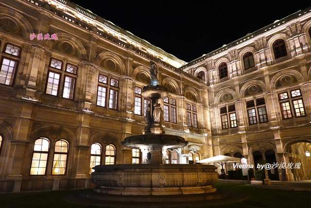 大厅|这场全球直播的音乐会是新年开始的标志，其实每年演出不止一场