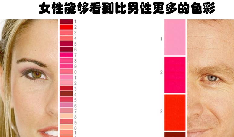 如何正常测试视力 1d0d2cb01c0a4b0eaac66c4ad6ec7d19.jpeg