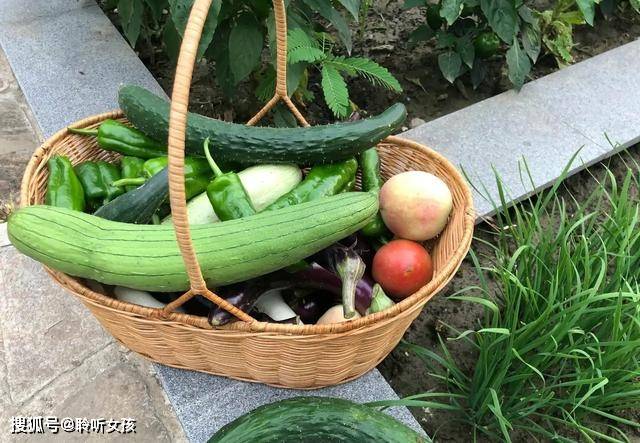 张馨予和她的菜篮子