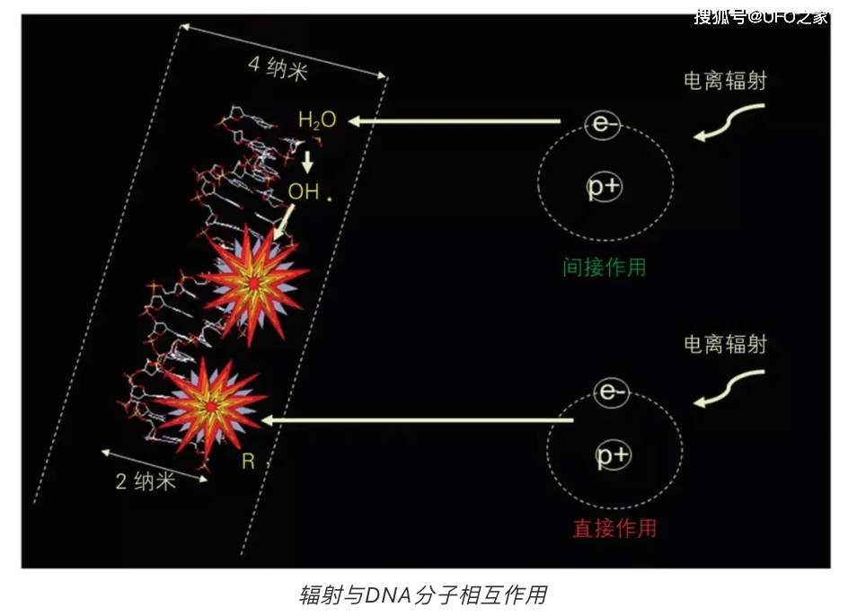 他遭受20万伦琴辐射理应当场死亡但几十年过去左脸依旧年轻