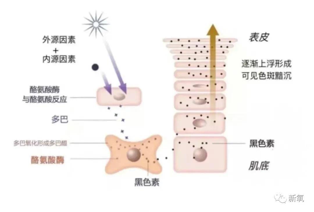 李栋旭李栋旭40岁皮肤状态绝了！