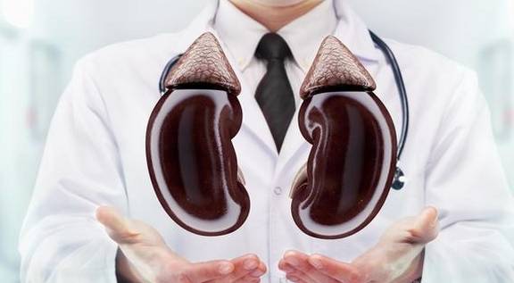 肾脏|肾友注意:保持肾功能稳定,除了蛋白尿,这项尿液指标也要重视