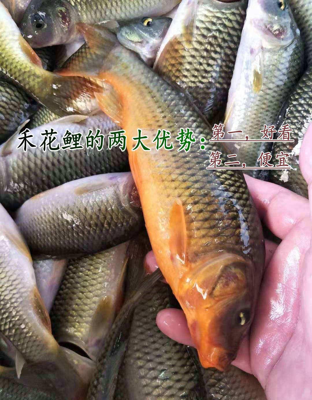 6447ef0c8df846dfad82876b62aa3aec.jpeg