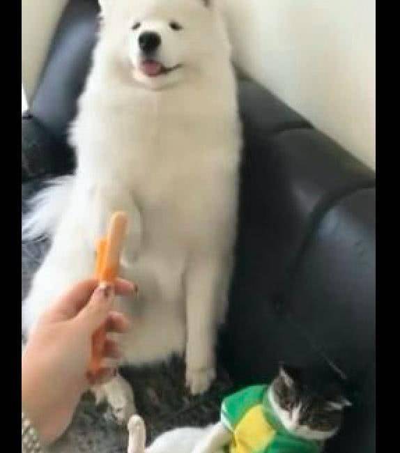 7800ed47a6f54f0da896a69015314250.jpeg